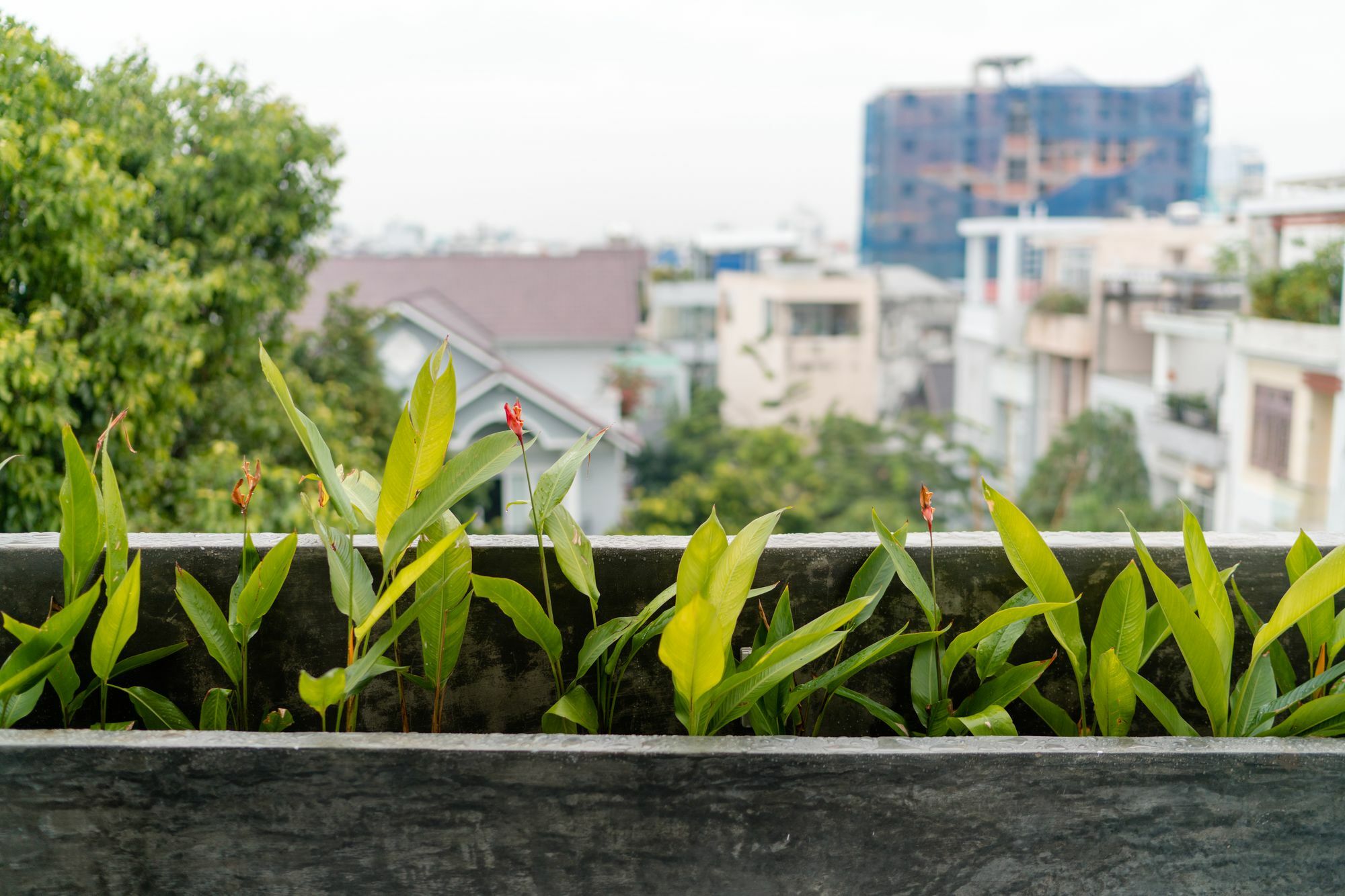 Iam Saigon Homestay Ho Si Minh-város Kültér fotó